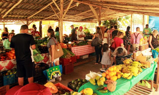 Feiras orgânicas e agroecológicas