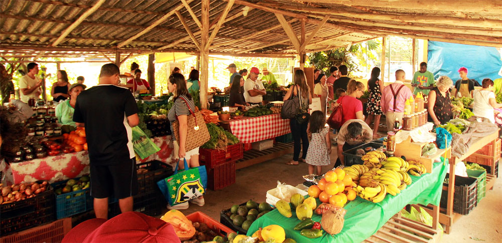 Feiras orgânicas e agroecológicas