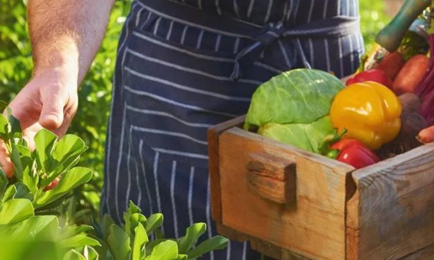 Farm to Table. O que é isso?