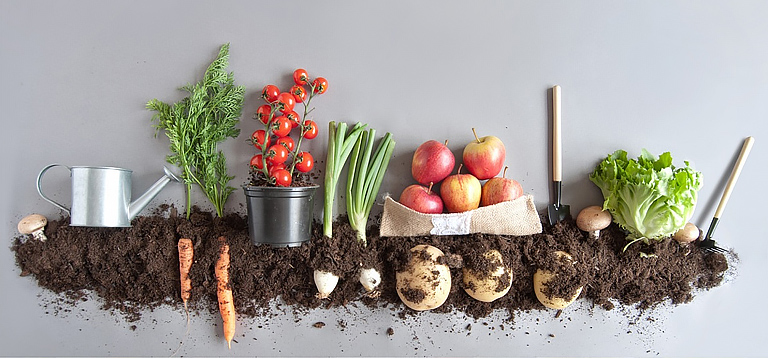 Alimentos orgânicos no Brasil