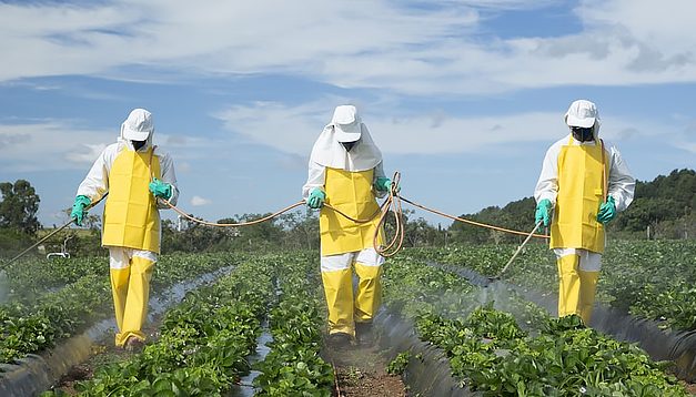 A relação entre política e alimentação no Brasil: uma análise por meio dos agrotóxicos