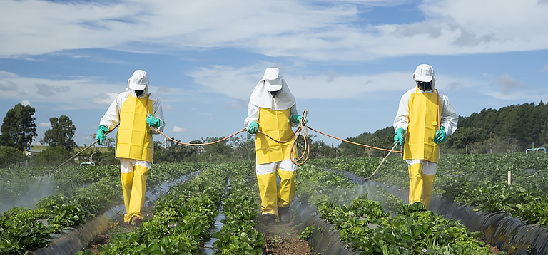 A relação entre política e alimentação no Brasil: uma análise por meio dos agrotóxicos